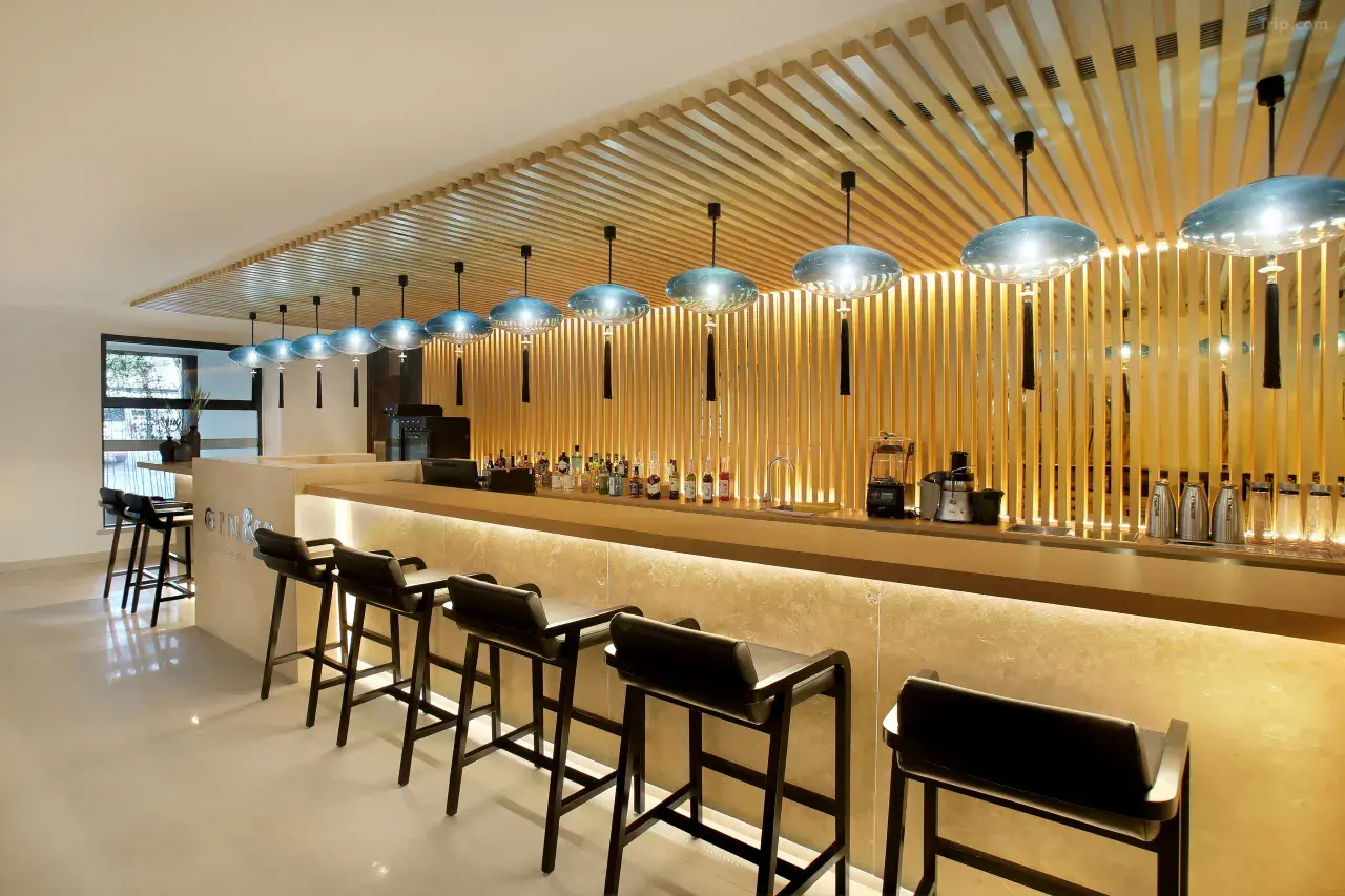 Gin&Co bar and Zen garden at night